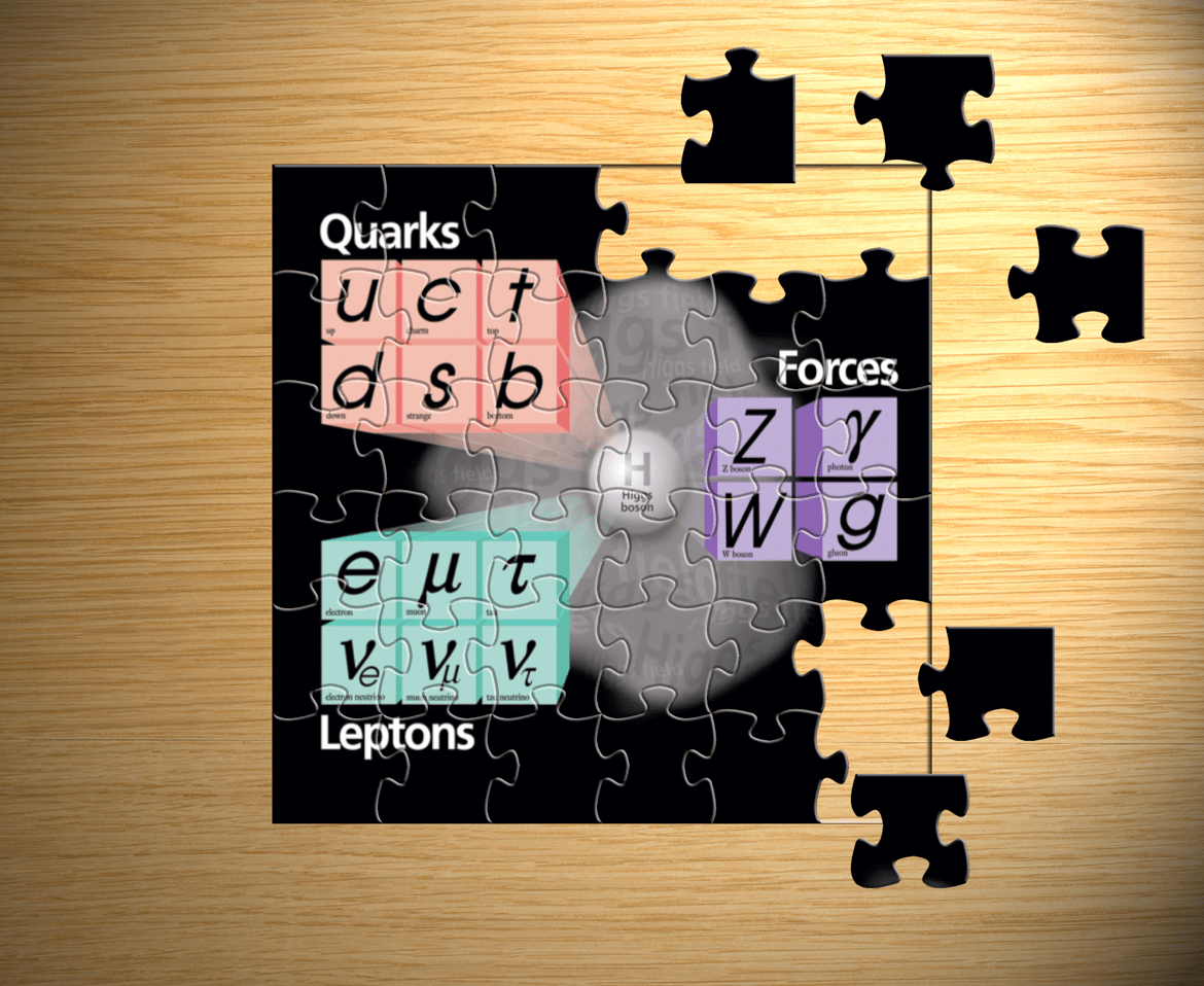 Standard Model puzzle