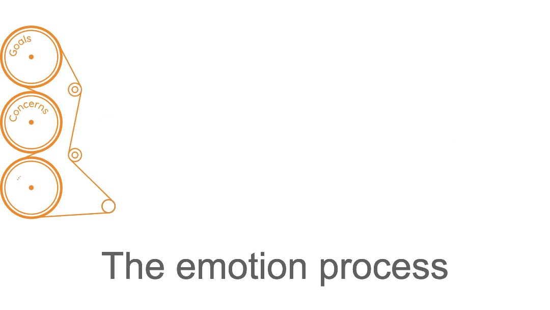 emotion_process.gif