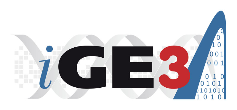 logo-ige3_1_big.jpg