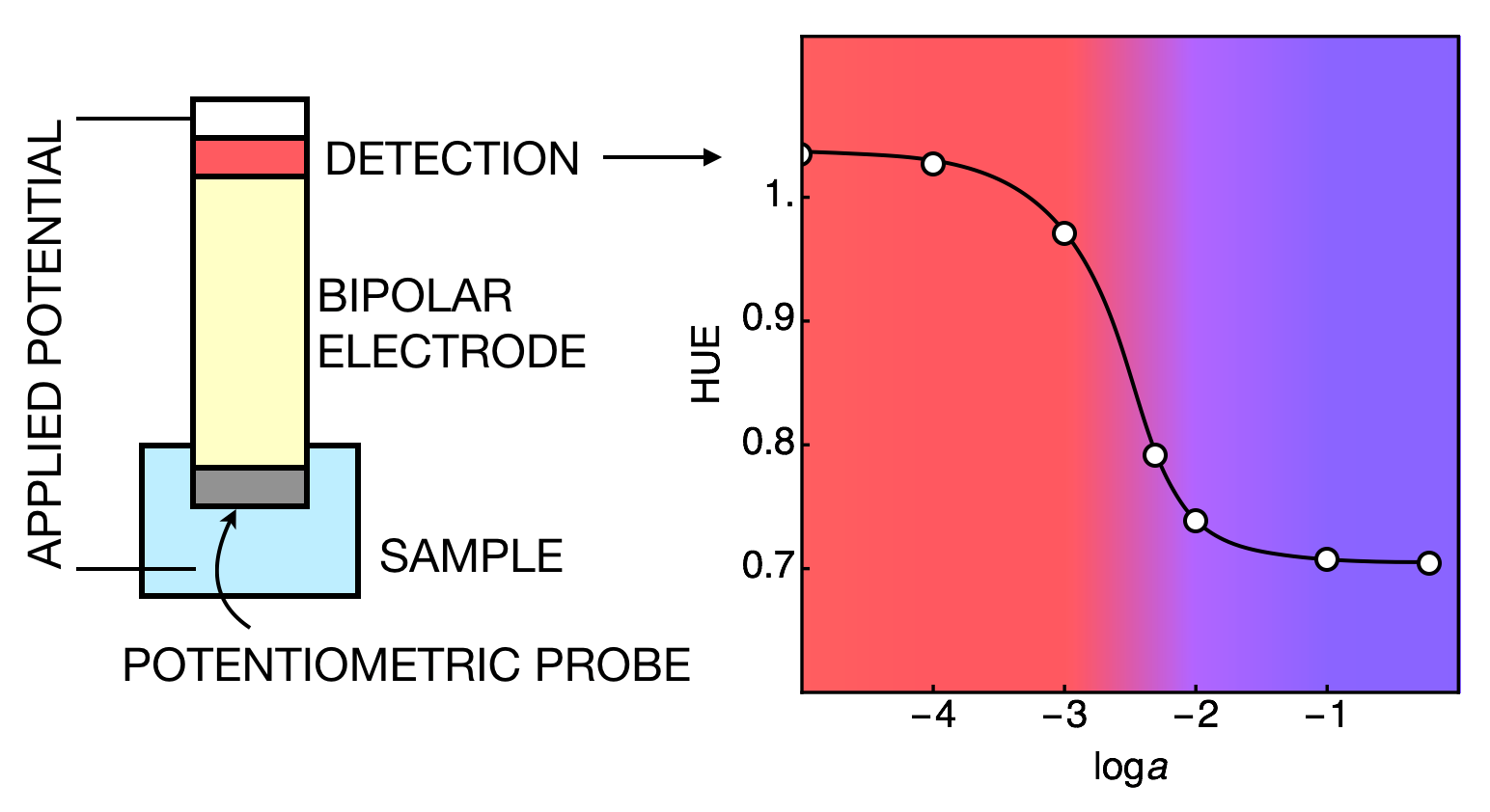 Bakker Illustration.png