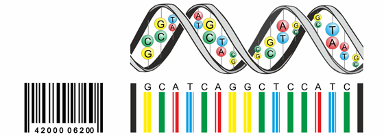Codes barres genetiques B