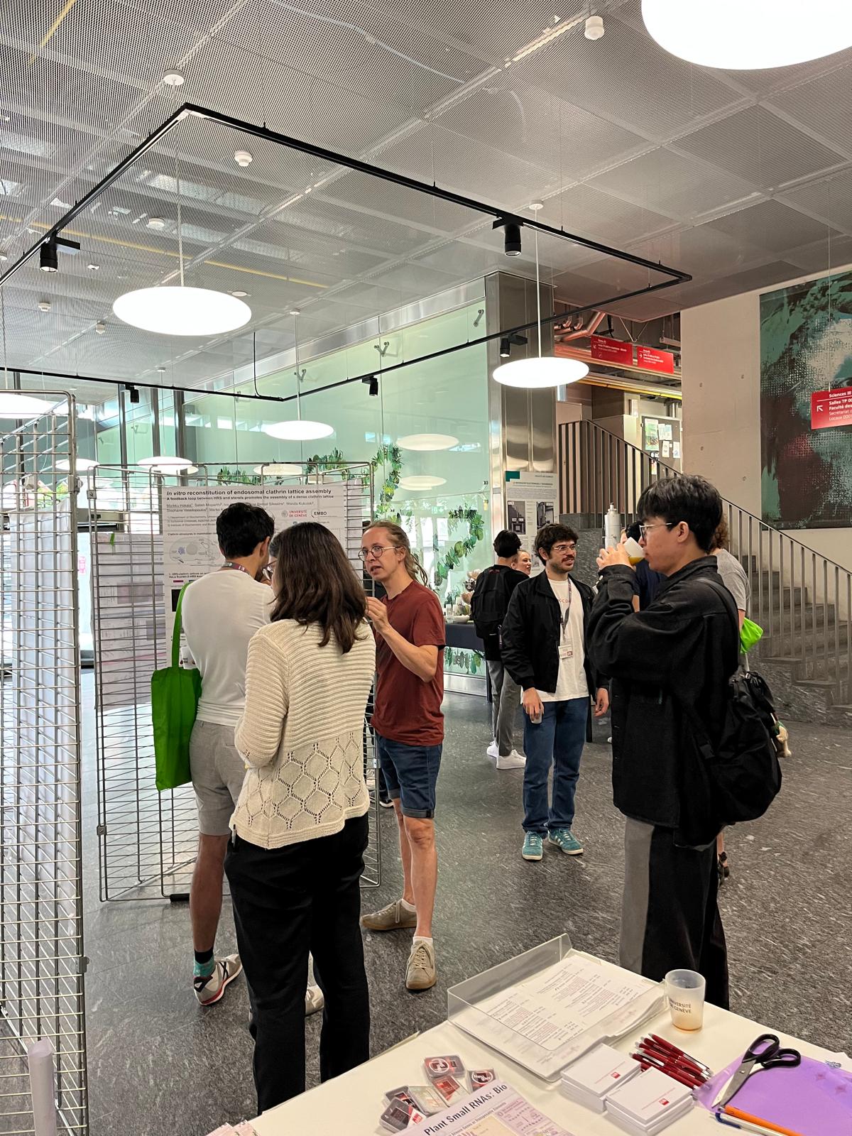 WhatsApp Image 2024-06-18 at 16.41.55 (8).jpeg