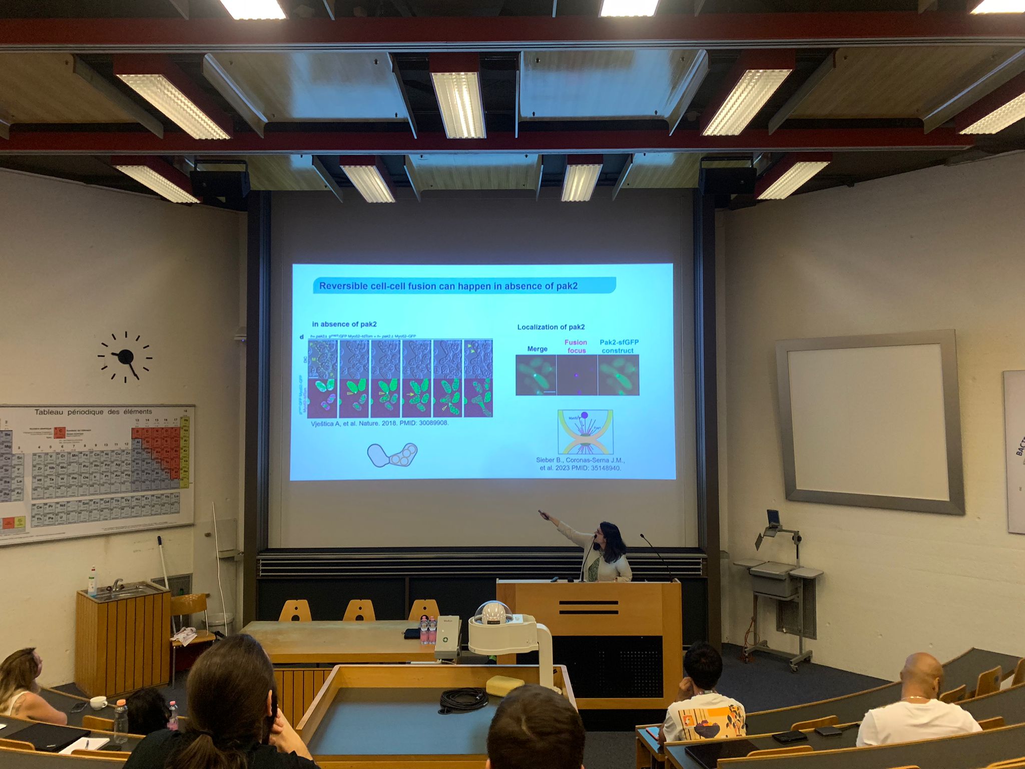 WhatsApp Image 2024-06-07 at 01.54.49.jpeg