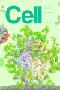 cell.gif