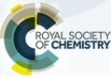 logo_RSC.jpg
