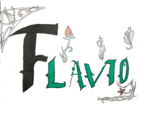 Flavio Villar_11.jpg