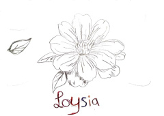 Loysia Liniger_11.jpg