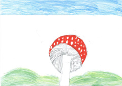 Silm Tesfagergsh_8.jpg