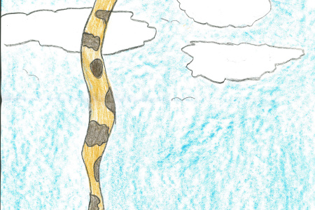 Narmin Seleman_10.jpg