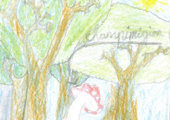 Yamin Krumnacher_10.jpg