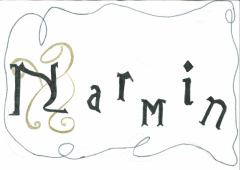 Narmin Seleman_10.jpg