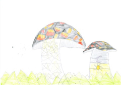 Catalina Sarmientgo_8.jpg