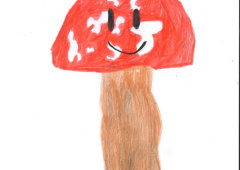 Johan Grimaître_12.jpg