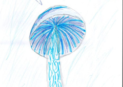 Baptiste Piller_10.jpg