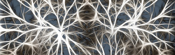 neurons-Gbandeau sans texte.jpg