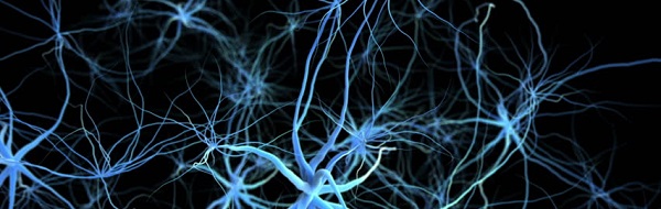 Neurones.jpg