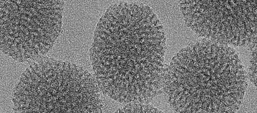 nanoparticle (2).jpg