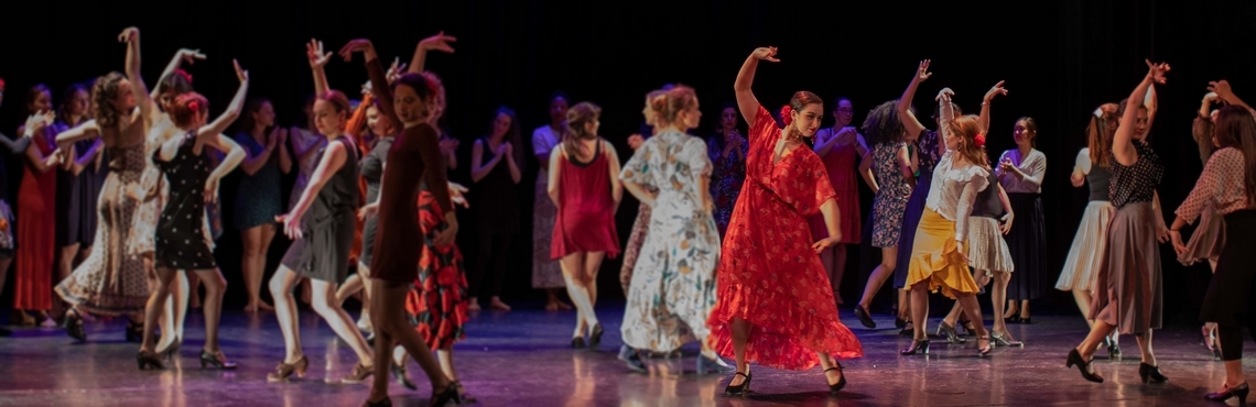 Cours de flamenco, Sevillanas et rumba, Michelle Gagnaux, automne 2020 