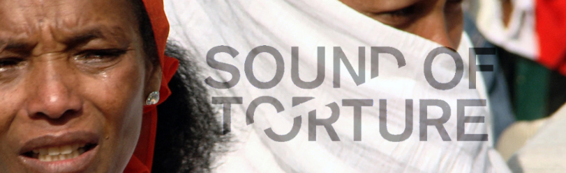 Sound of Torture (2013)
