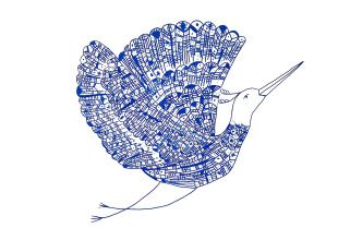 oiseau.jpg