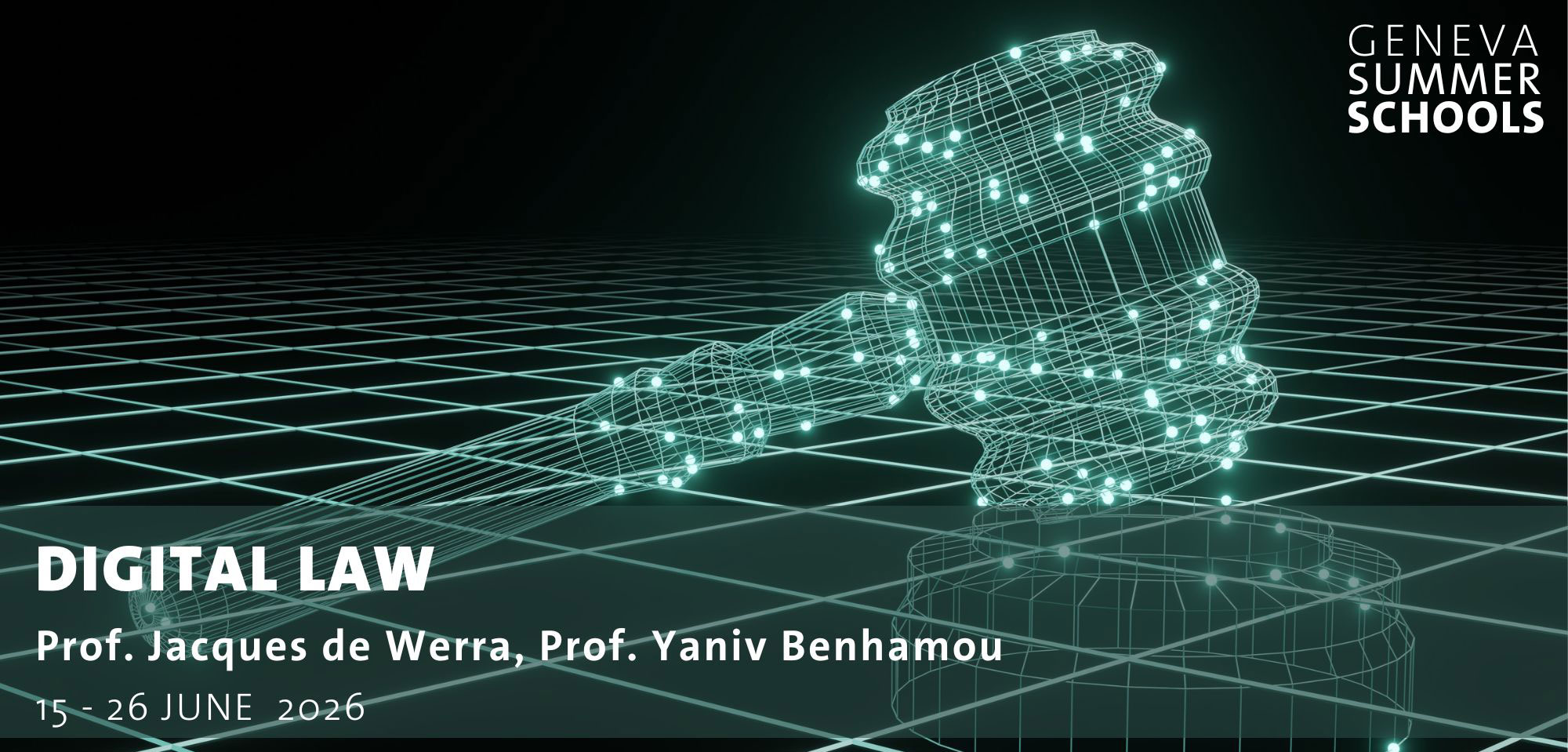 Digital Law Summer School
