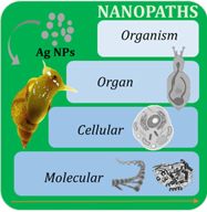 Nanopaths_187X193.jpg