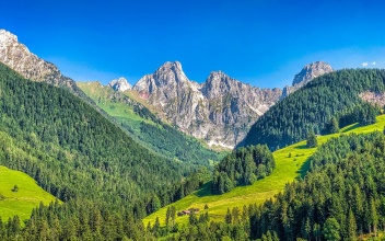 Alps2.jpg