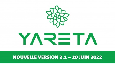 Yareta2.1-vert.jpg