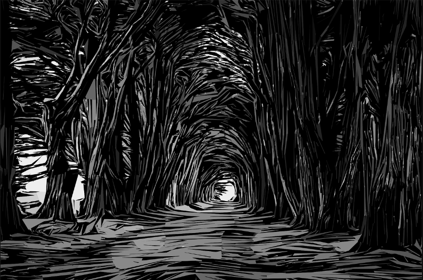 tunnel_foret.png
