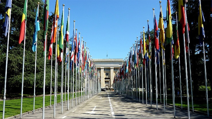 Bâtiment ONU avec drapeaux