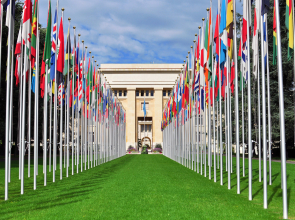 On May 4, UNOG staff members come to FTI