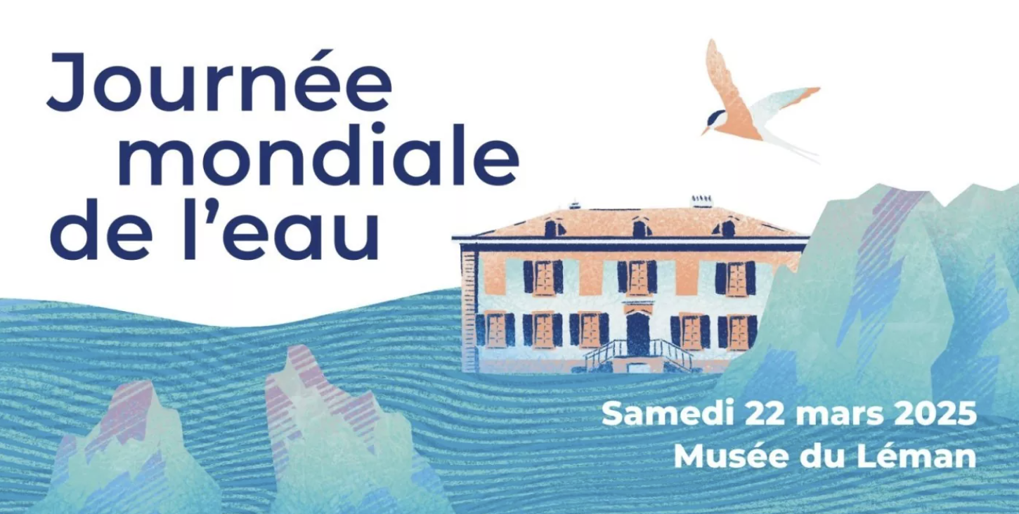 Capture d’écran 2025-03-11 à 07.28.31.png