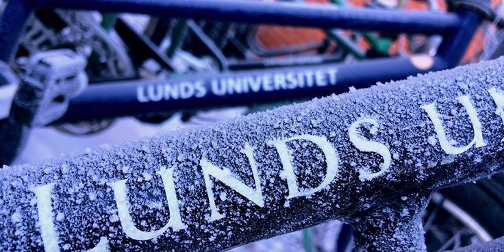 lundUNI.jpg