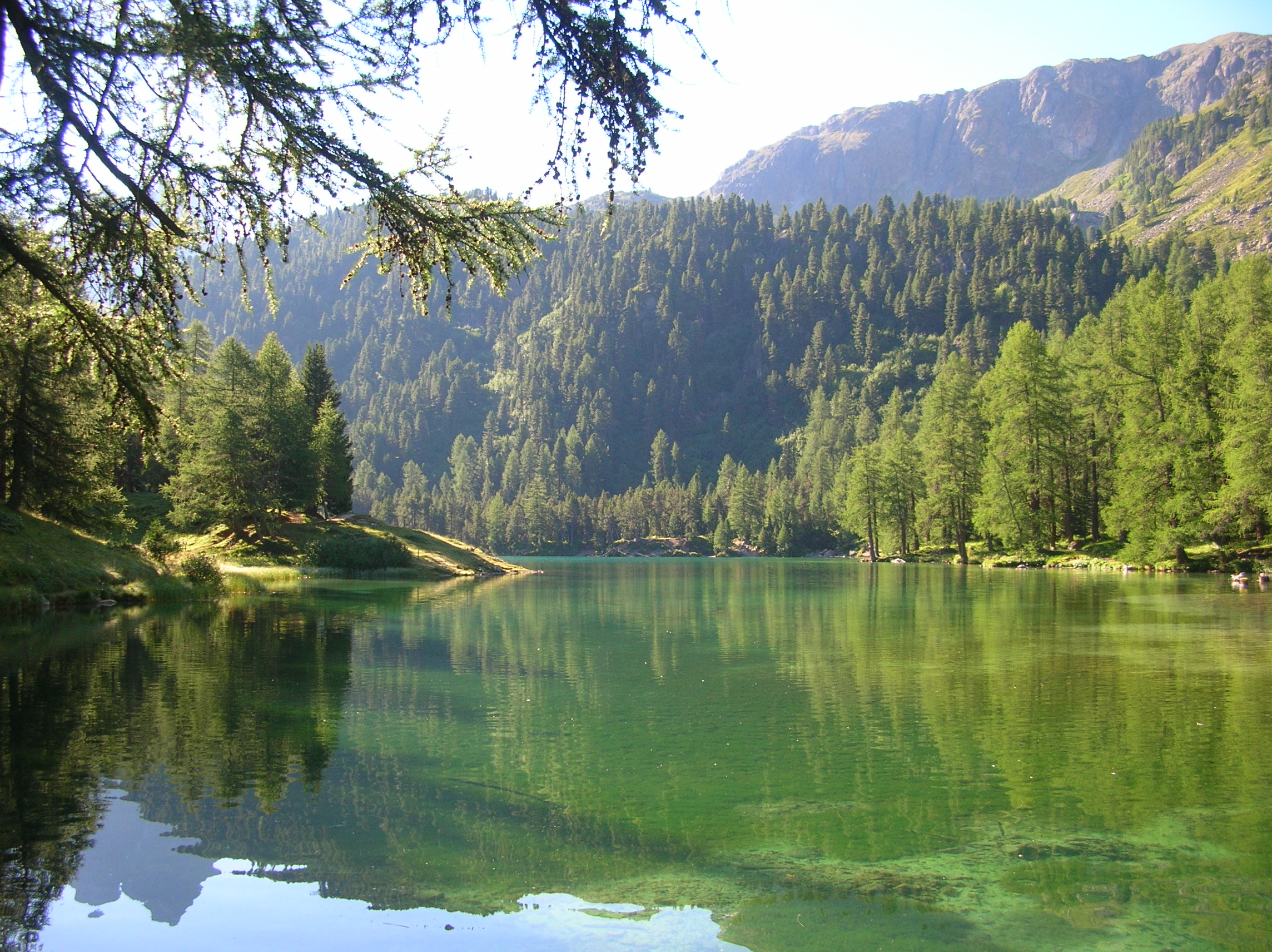 Lac_de_Palpuogna_Grisons_Suisse.jpeg