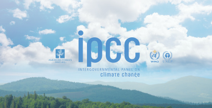 ipcc-climate-change-un-report-reforestation.jpg