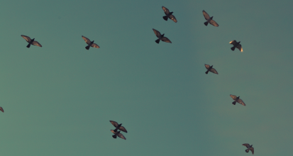 2020.10_Mobilite.png