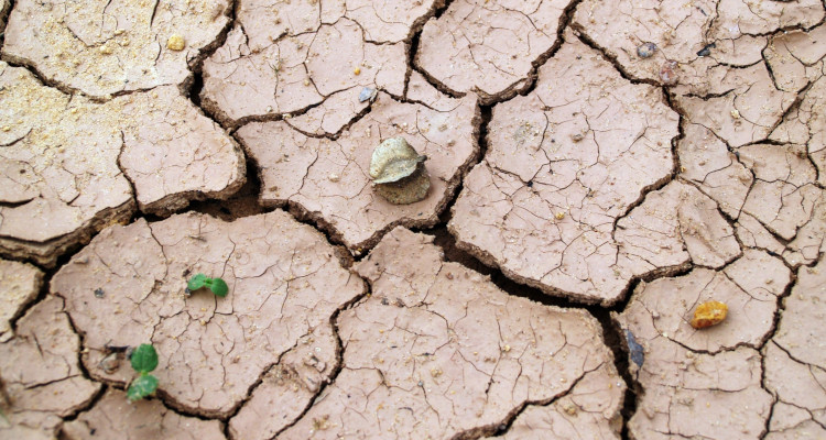 2022.04_ClimateChange_Di Falco_VoxEU.jpg