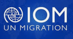IOM logo.png