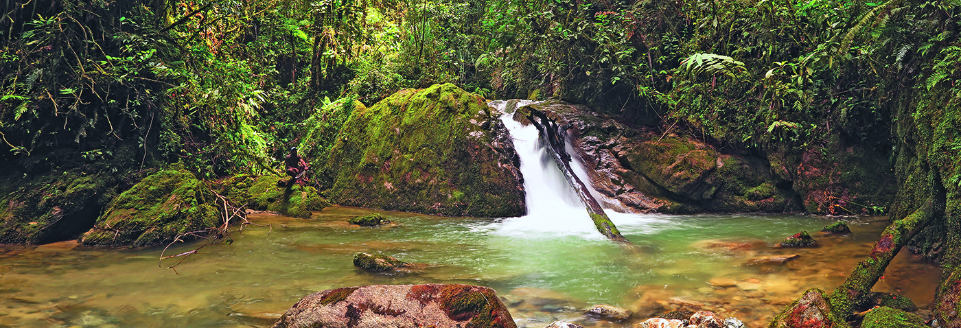 0096 Bananumbo panorama 1_J.jpg