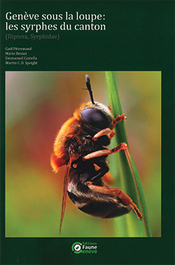 9AlireSyrphes_J.jpg