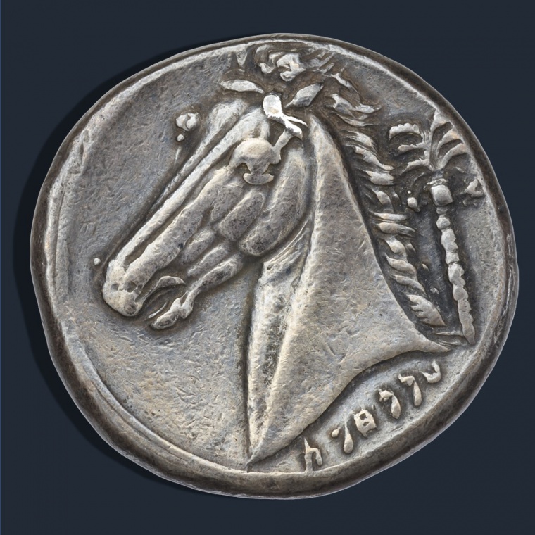 monnaies-equestres.jpg