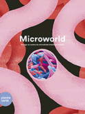 microworld_P.png