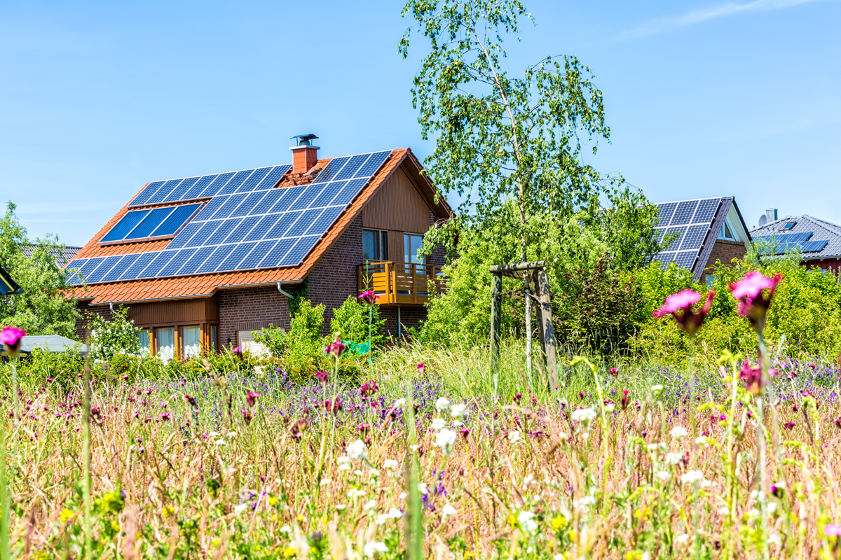 solar-panels-home-web.jpg