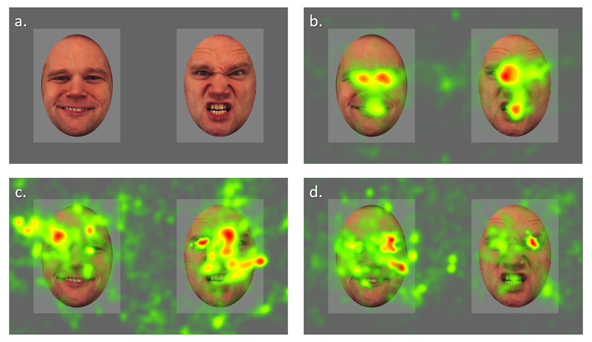 69 polyhandicap-1200.jpg