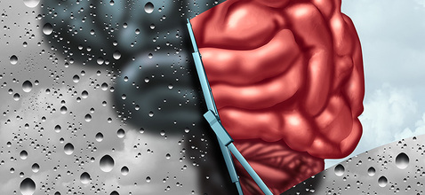 54 Amyloïderévisée-800.jpg