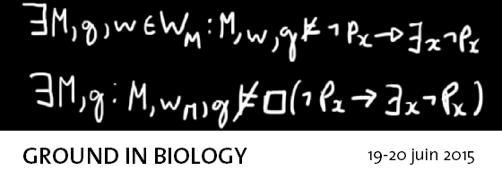 ground_biology.png