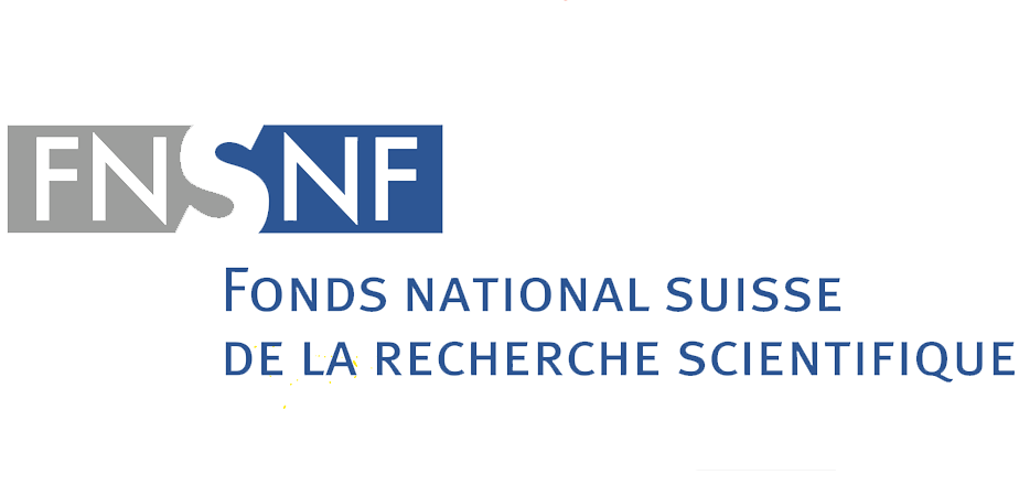 logo_fns.png