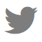 twitter_gris.png