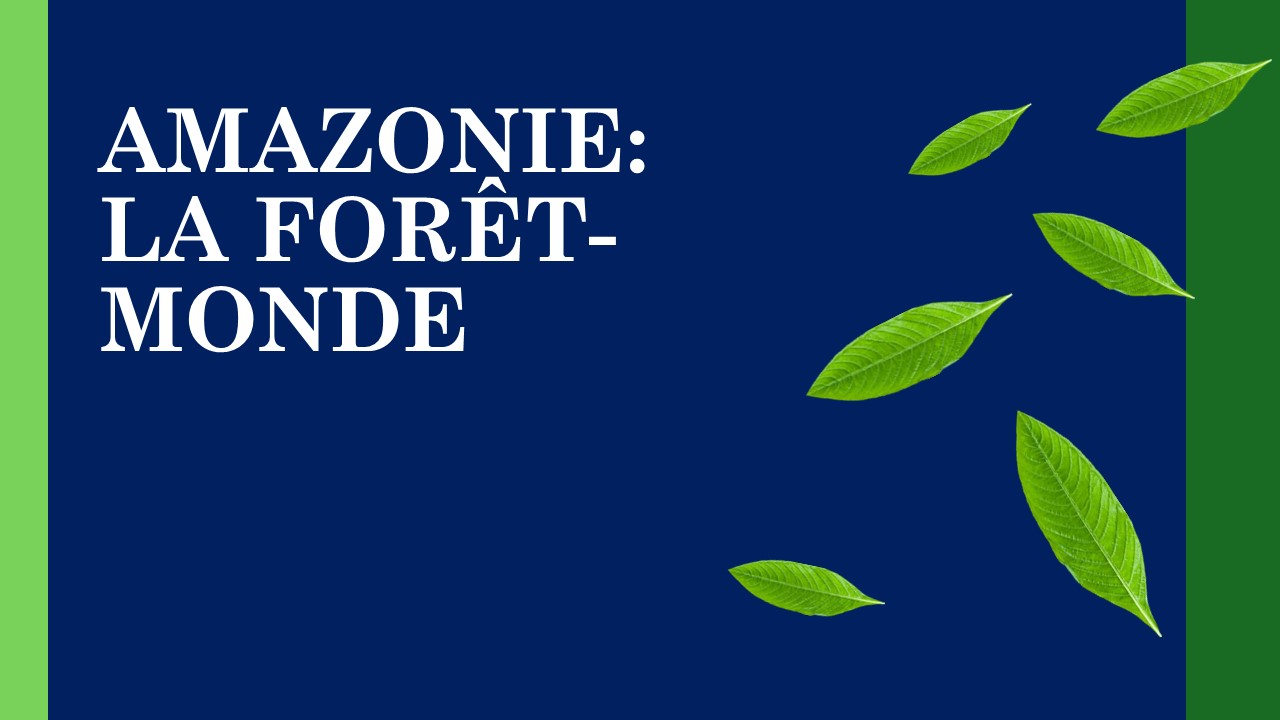 AMAZONIE.jpg