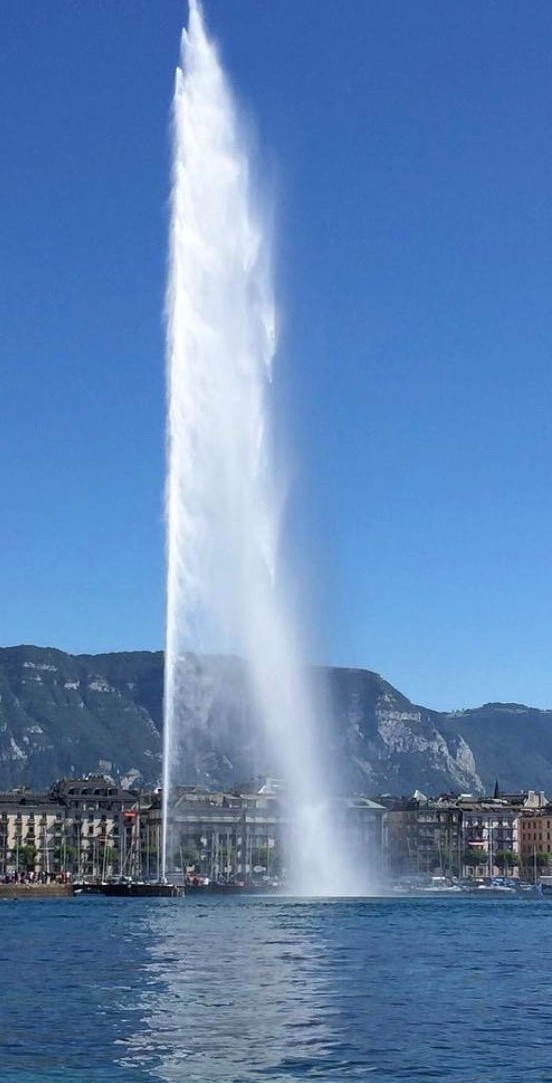 IMG-20260122-WA0001 (1) (1).jpg